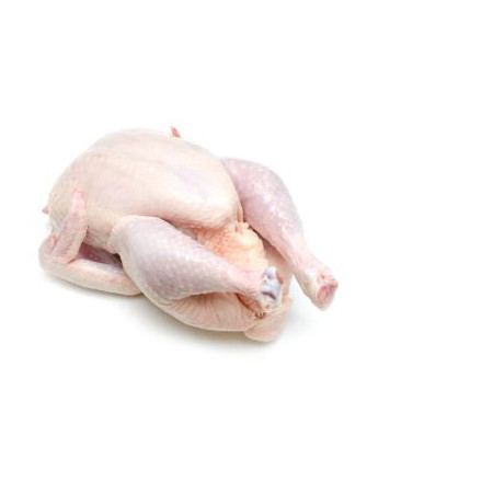 Daging Ayam Potong Segar murah Daging Ayam Potong Segar murah