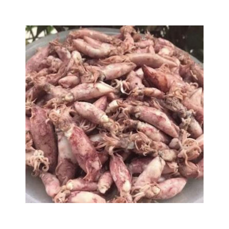 Ikan Cumi Asin