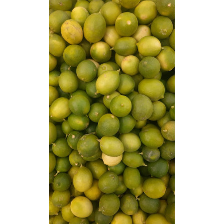 jeruk lemon jeruk lemon