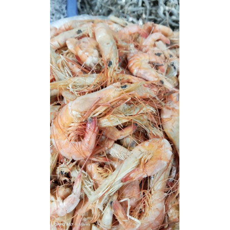 Ikan asin udang