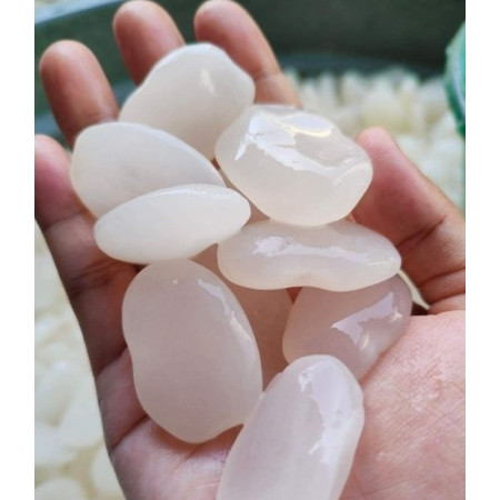 Kolang kaling / Caruluk