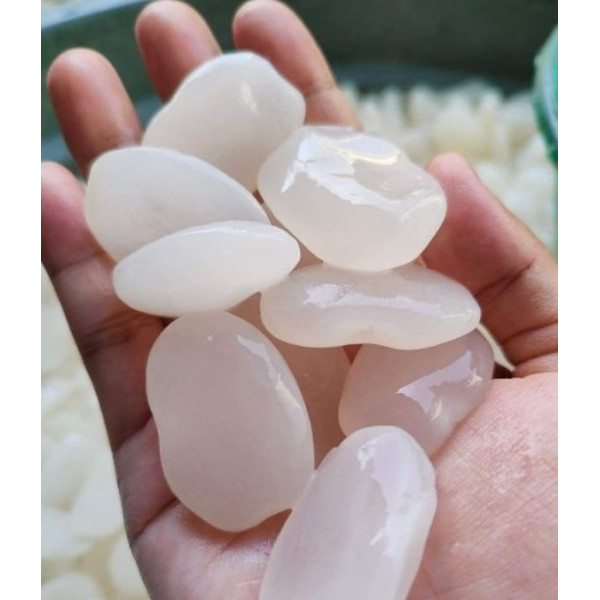 Kolang kaling / Caruluk
